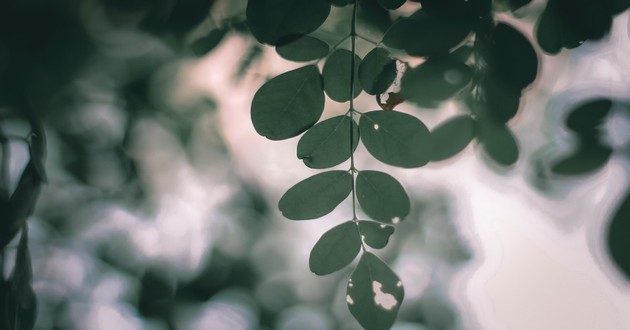 现代算卦最准的大师都有谁,中国最厉害的算命大师是谁