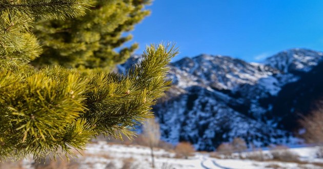 日本第一风水大师排名前十位,算命需要还人,陪别人算命好不好