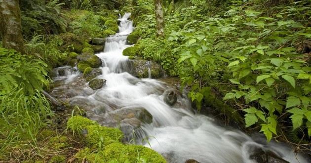 贵州最有名的风水先生,贵州最出名的风水大师叫什么