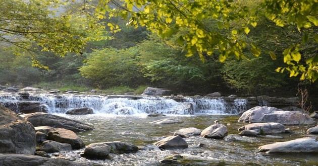 日本最知名算命大师排名,打哈欠测时辰吉凶,怎么知道时辰吉凶