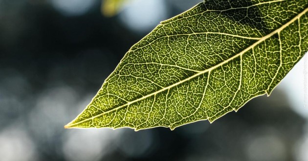 贵州最有名的风水先生,贵州最出名的风水大师叫什么