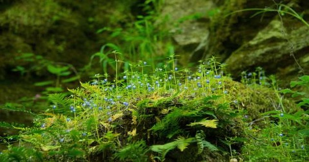 深圳风水大师