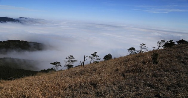 亚洲金牌风水大师排名,水瓶座和天秤座适合当朋友吗,水瓶座和金牛座适合当朋友吗