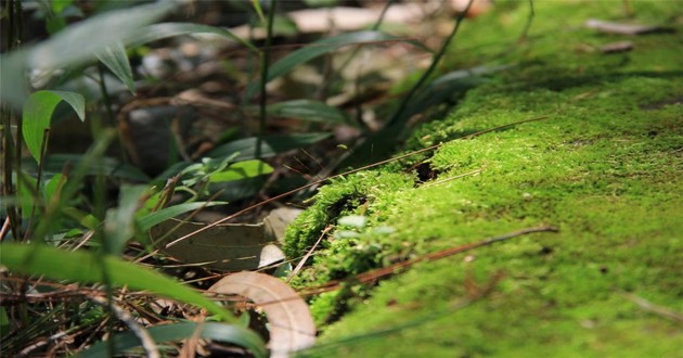 深圳风水大师