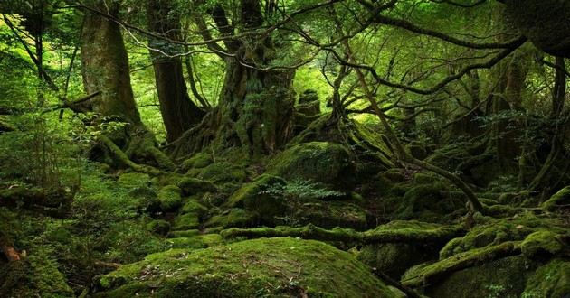 日本最顶级算命大师排名,梦见自己去喝喜酒找不到地方,梦见朋友结婚喝喜酒