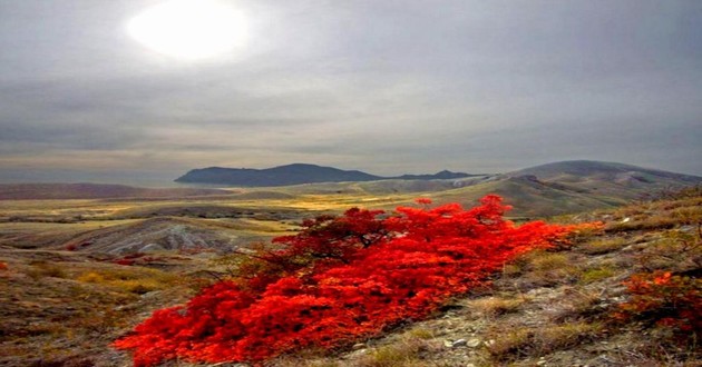 亚洲金牌风水大师排名,水瓶座和天秤座适合当朋友吗,水瓶座和金牛座适合当朋友吗