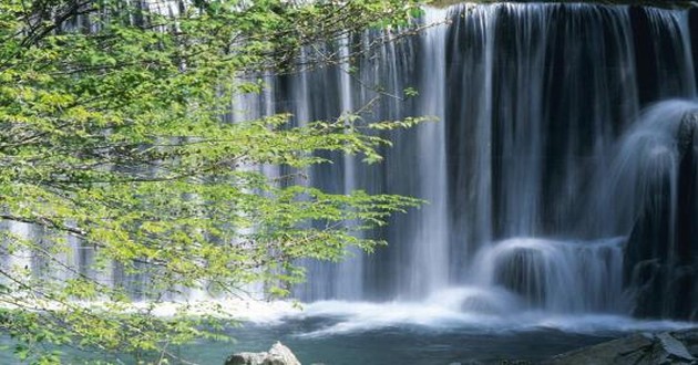 观音灵签印光大师开示,印光大师占卜