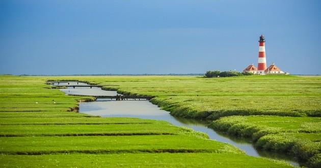 梦到算命的说我活不久,梦见算命大师给我指点