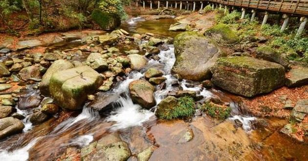 深圳风水大师