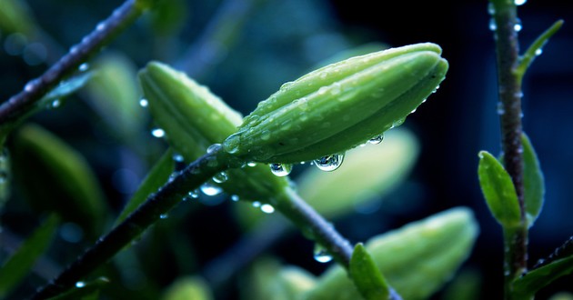 深圳风水大师