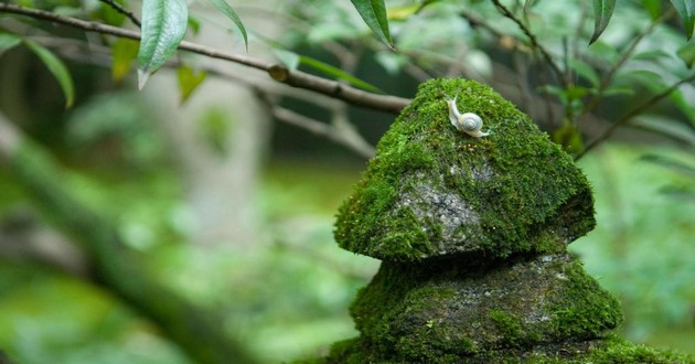 深圳风水大师