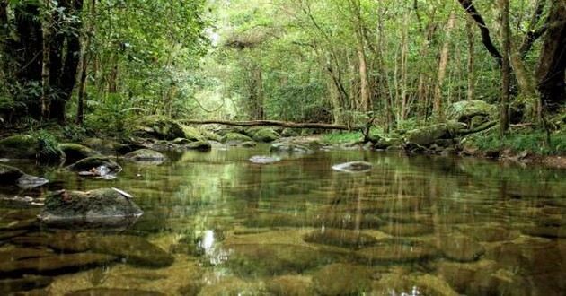 深圳风水大师