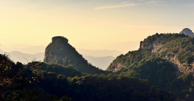 河北哪里可以算命,郭字五行属木,五行属木最旺的字