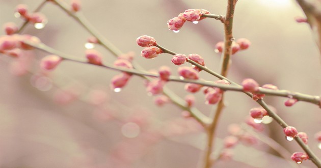 观音灵签印光大师开示,印光大师占卜