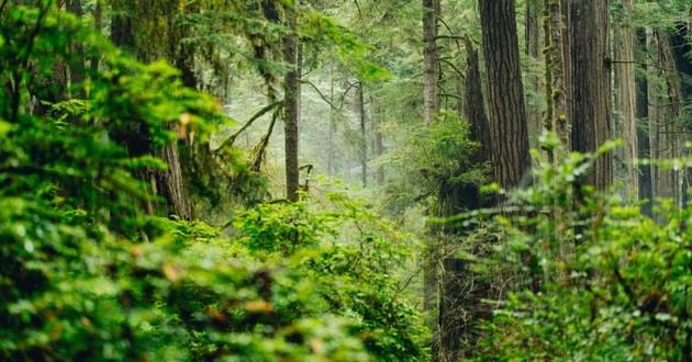 深圳风水大师