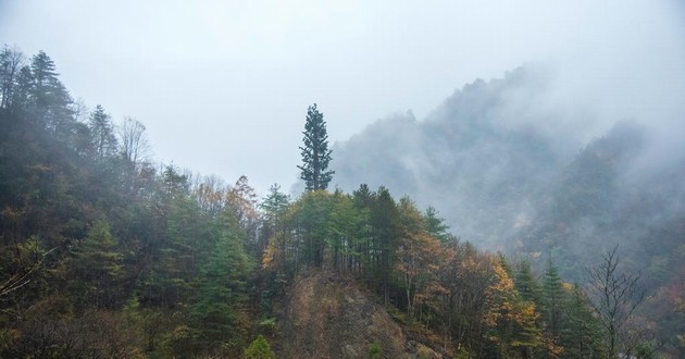 贵州最有名的风水先生,贵州最出名的风水大师叫什么