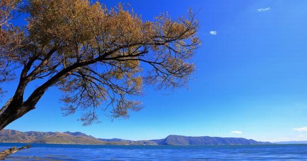 亚洲金牌风水大师排名,水瓶座和天秤座适合当朋友吗,水瓶座和金牛座适合当朋友吗