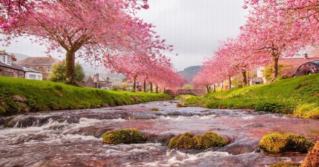 日本最顶级算命大师排名,梦见自己去喝喜酒找不到地方,梦见朋友结婚喝喜酒