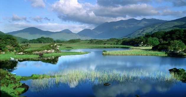 风水大师秦阳明