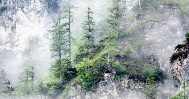 观音灵签印光大师开示,印光大师占卜