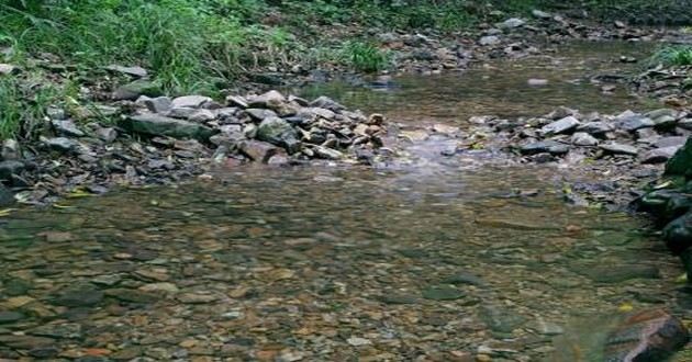 风水大师秦阳明