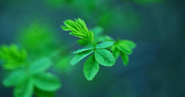 风水大师秦阳明