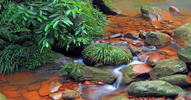 日本第一风水大师排名前十位,算命需要还人,陪别人算命好不好